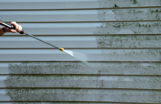 Best Gutter Cleaning  in Lake Caroline, VA