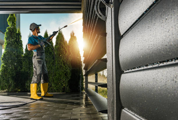 Best Rust Removal  in Lake Caroline, VA